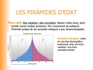 Para-sol:  Alta natalitat i alta mortalitat . Neixen molts nens, però també moren moltes persones. Poc creixement de població. Piràmide pròpia de les societats antigues o poc desenvolupades. LES PIRÀMIDES D’EDAT Piràmide d’Angola:   estan en una fase demogràfica tradicional, amb una forta natalitat i una forta mortalitat també. 