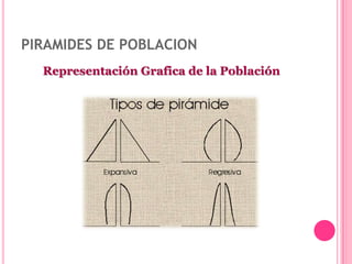 PIRAMIDES DE POBLACION
  Representación Grafica de la Población
 
