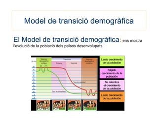 Model de transició demogràfica
El Model de transició demogràfica: ens mostra
l'evolució de la població dels països desenvolupats.
 