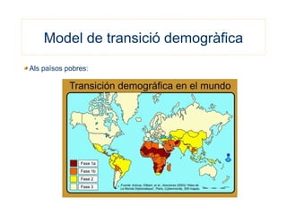 Model de transició demogràfica
Als països pobres:
 