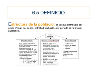 6.5 DEFINICIÓ
Estructura de la població: es la seva distribució per
grups d'edat, per sexes, el treball, culturals, etc, per a la seva anàlisi
qualitativa.
 