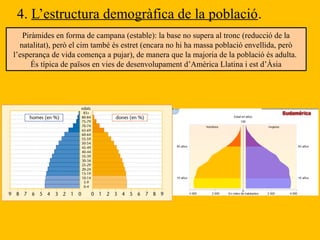 4. L’estructura demogràfica de la població.
Piràmides en forma de campana (estable): la base no supera al tronc (reducció de la
natalitat), però el cim també és estret (encara no hi ha massa població envellida, però
l’esperança de vida comença a pujar), de manera que la majoria de la població és adulta.
És típica de països en vies de desenvolupament d’Amèrica Llatina i est d’Àsia
 