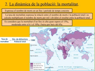 2. La dinàmica de la població: la mortalitat.
Expressa el nombre de morts en un lloc i període de temps concrets
La taxa de mortalitat expressa la relació entre el nombre de morts i la població total i es
calcula multiplicant el nombre de morts per mil i dividint el resultat entre la població total
Es considera que la mortalitat d’un lloc és alta quan supera el 15‰,
moderada entre el 6 i el 10‰ i baixa per baix del 6‰
 