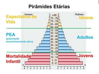 Demografia conceitos básicos.