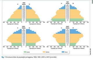 Demografia conceitos básicos.