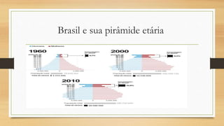 Brasil e sua pirâmide etária
 