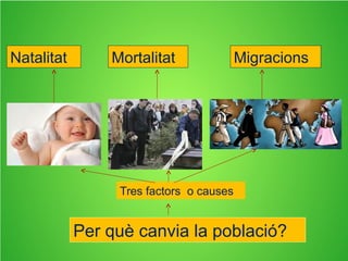 DISTRIBUCIÓ DE LA POBLACIÓ
 