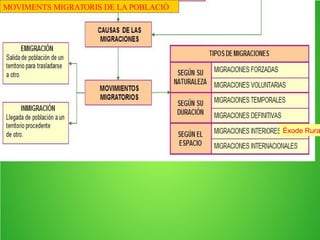 Espanya
MOVIMENTS
NATURALS DE LA
POBLACIÓ
 