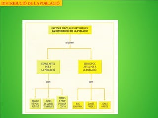 1. Distribució de la població mundial.
La població mundial supera els 7.000.000.000 d’habitants, però està distribuïda de forma
molt irregular: mentre a Àsia viu més del 60% del total (sols entre Índia i Xina tenen més
d’un terç de la població), Àfrica i Amèrica tenen al voltant del 14%, Europa quasi un 11%,
Oceania té un 0’5% i a l’Antàrtida no viu ningú
DISTRIBUCIÓ DE LA POBLACIÓ
 