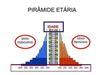 População Adulta : de 20 até 59 anos; 