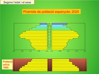 Baby-boom
Piràmide de població espanyola: 1999
Població
activa
1999
Població
jove
Població
3ª edat
Segons l’edat i el sexe
 