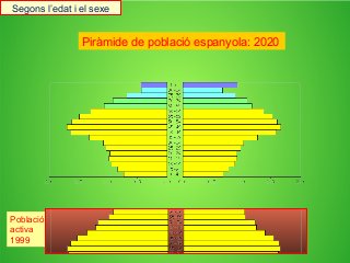 Piràmide de població espanyola: 2020
Població
activa
1999
Segons l’edat i el sexe
 