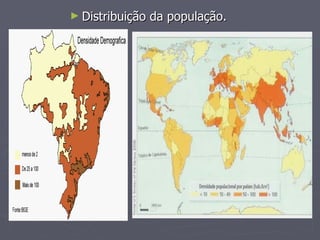 Distribuição da população. 