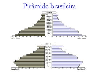 Pirâmide brasileira
 