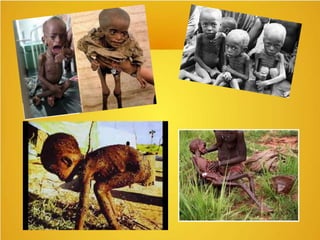 Demografia - Introdução