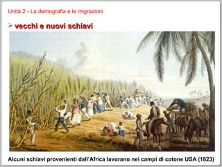 Unità 2 - La demografia e le migrazioni vecchi e nuovi schiavi Alcuni schiavi provenienti dall’Africa lavorano nei campi di cotone USA (1823) 