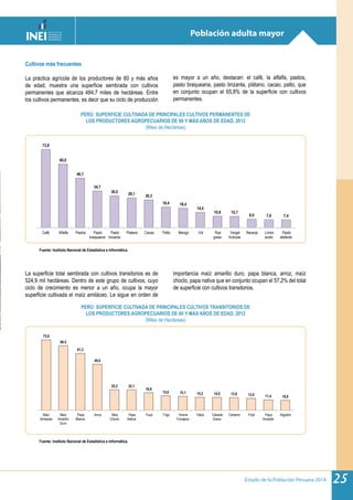 Estado de la Población Peruana 2014 25
Población adulta mayor
73,8
60,0
46,7
34,7
30,0 28,1 26,3
19,4 18,4
14,4
10,8 10,7
8,0 7,6 7,4
Café Alfalfa Pastos Pasto
braquearia
Pasto
brizanta
Platano Cacao Palto Mango Vid Rye
grass
Vergel
fruticola
Naranjo Limón
acido
Pasto
elefante
75,9
69,5
61,3
49,6
22,2 22,1
18,9
15,6 15,1 14,2 14,0 13,8 13,0 11,4 10,9
Maiz
Amilaceo
Maiz
Amarillo
Duro
Papa
Blanca
Arroz Maiz
Choclo
Papa
Nativa
Yuca Trigo Avena
Forrajera
Haba Cebada
Grano
Cartamo Frijol Papa
Amarilla
Algodón
Fuente: Instituto Nacional de Estadística e Informática.
Fuente: Instituto Nacional de Estadística e Informática.
PERÚ: SUPERFICIE CULTIVADA DE PRINCIPALES CULTIVOS PERMANENTES DE
LOS PRODUCTORES AGROPECUARIOS DE 60 Y MÁS AÑOS DE EDAD, 2012
(Miles de Hectáreas)
PERÚ: SUPERFICIE CULTIVADA DE PRINCIPALES CULTIVOS TRANSITORIOS DE
LOS PRODUCTORES AGROPECUARIOS DE 60 Y MÁS AÑOS DE EDAD, 2012
(Miles de Hectáreas)
Cultivos más frecuentes
La práctica agrícola de los productores de 60 y más años
de edad, muestra una superficie sembrada con cultivos
permanentes que alcanza 484,7 miles de hectáreas. Entre
los cultivos permanentes, es decir que su ciclo de producción
es mayor a un año, destacan: el café, la alfalfa, pastos,
pasto braquearia, pasto brizanta, plátano, cacao, palto, que
en conjunto ocupan el 65,8% de la superficie con cultivos
permanentes.
La superficie total sembrada con cultivos transitorios es de
524,9 mil hectáreas. Dentro de este grupo de cultivos, cuyo
ciclo de crecimiento es menor a un año, ocupa la mayor
superficie cultivada el maíz amiláceo. Le sigue en orden de
importancia maíz amarillo duro, papa blanca, arroz, maíz
choclo, papa nativa que en conjunto ocupan el 57,2% del total
de superficie con cultivos transitorios.
 