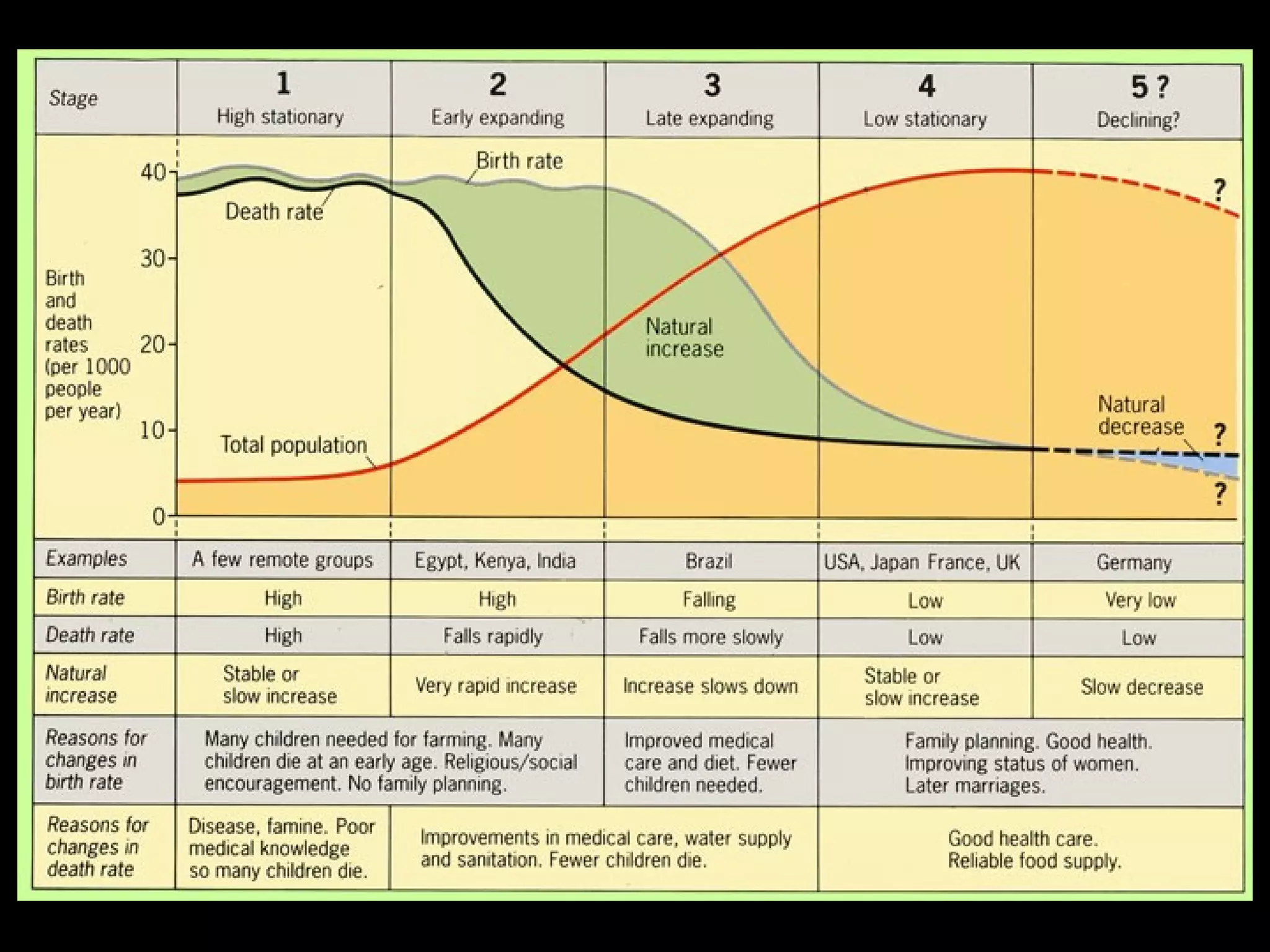 Demographic model
