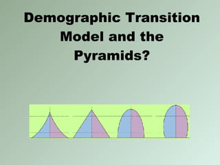 Demographic Transition Model and the Pyramids? 