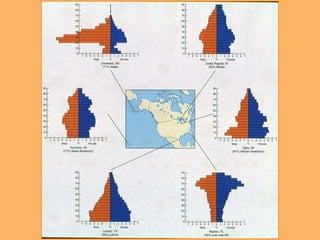 Demographic Transition