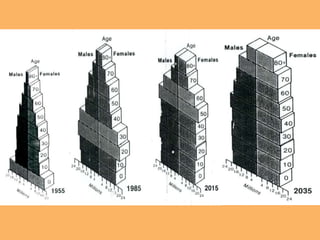 Demographic Transition