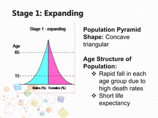 Stage 1: Expanding
Population Pyramid
Shape: Concave
triangular
Age Structure of
Population:
 Rapid fall in each
age group due to
high death rates
 Short life
expectancy
 