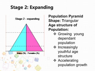 Stage 2: Expanding
Population Pyramid
Shape: Triangular
Age structure of
Population:
 Growing young
dependant
population
 Increasingly
youthful age
structure
 Accelerating
population growth
 