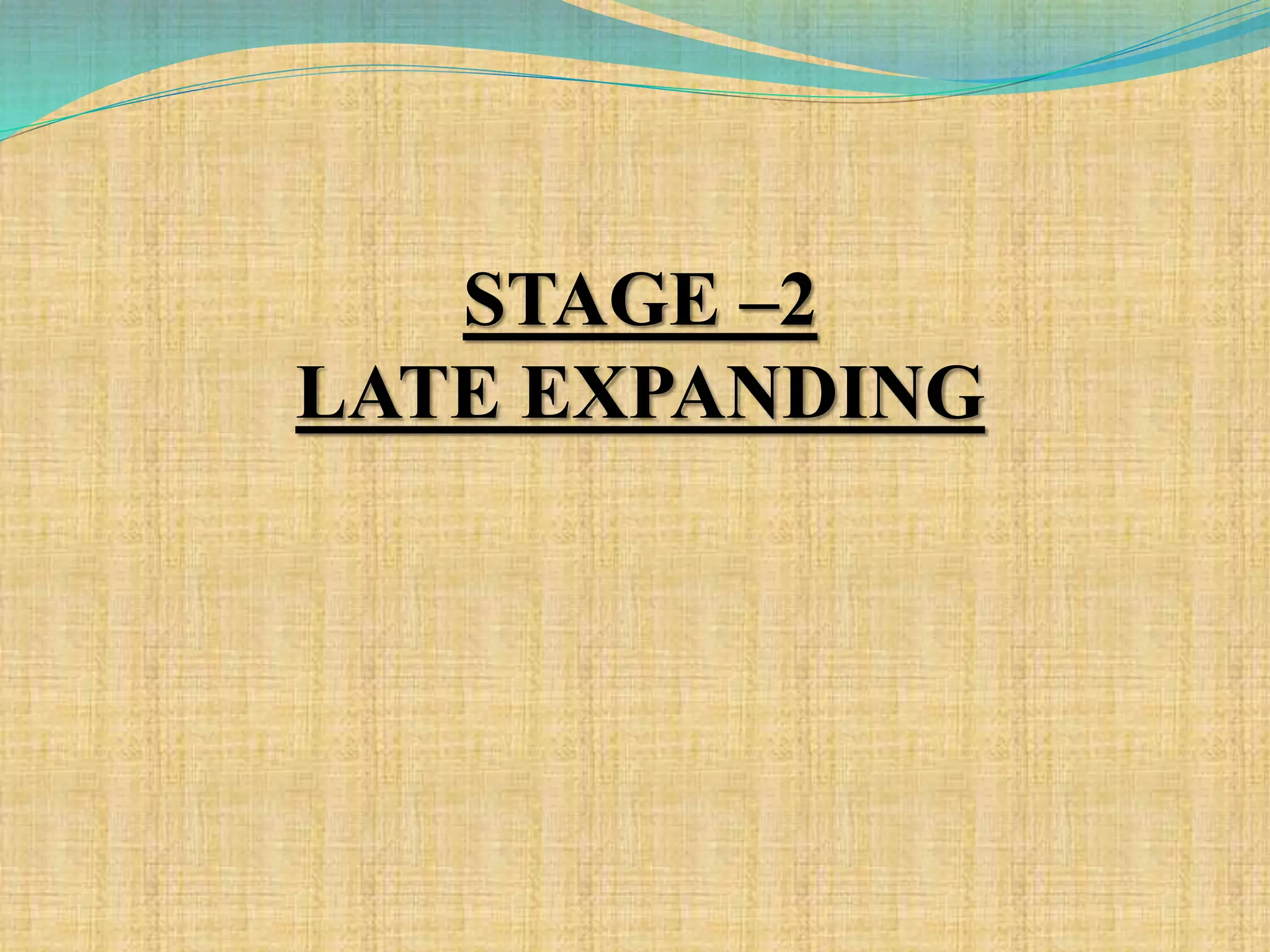 STAGE –2
LATE EXPANDING
 