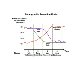 Demograpi7388c Transition Model ppt.pptx