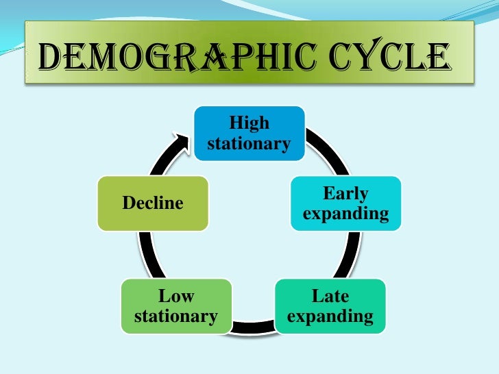 demography 7 728