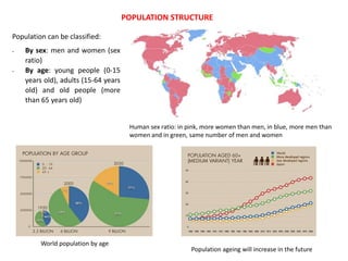 POPULATION STRUCTURE
Population can be classified:
- By sex: men and women (sex
ratio)
- By age: young people (0-15
years old), adults (15-64 years
old) and old people (more
than 65 years old)
Human sex ratio: in pink, more women than men, in blue, more men than
women and in green, same number of men and women
World population by age
Population ageing will increase in the future
 