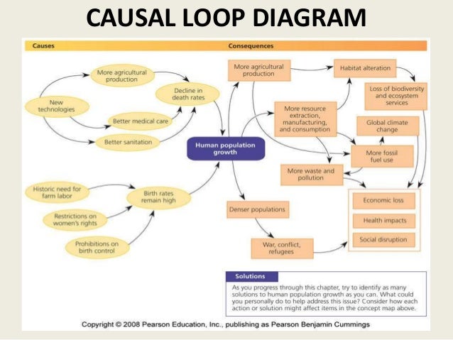 causal loop diagram demography causal loop diagram demography