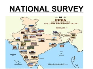 NATIONAL SURVEY
 