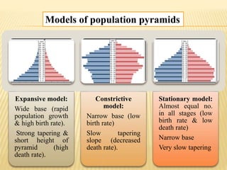 Demography | PPTX