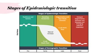 DEMOGRAPHY-PRINCIPLES, CYCLE, VITAL STATISTICS | PPTX