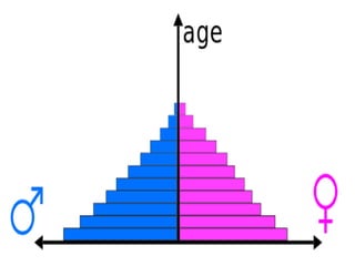 Comprehensive Overview of Demography: Population Studies and Data ...
