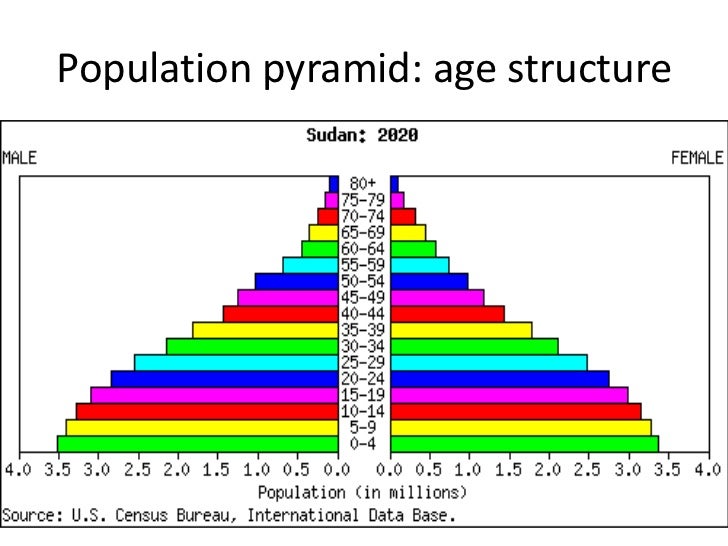 what will the u s population look like in the year 2050 what will the u s population look like in the year 2050