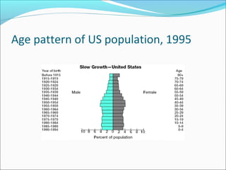 Age pattern of US population, 1995
 