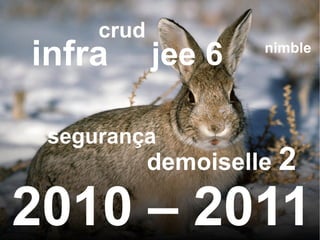 segurança crud infra nimble jee 6 demoiselle  2 2010 – 2011 