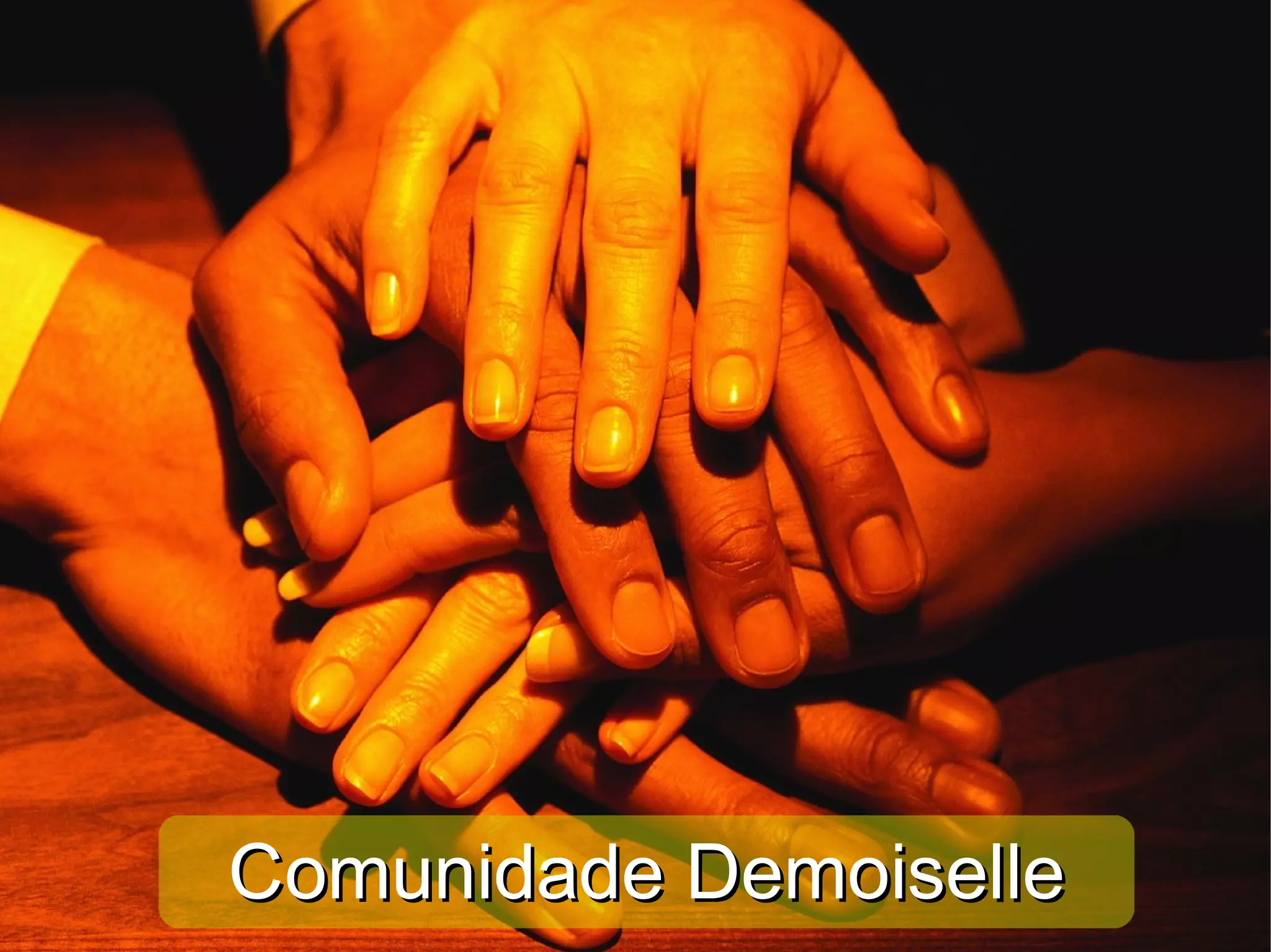 Comunidade Demoiselle 
