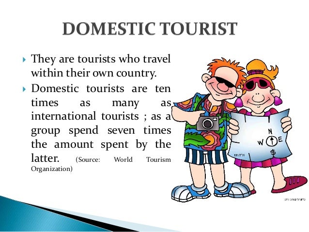 what is domestic tourism with example