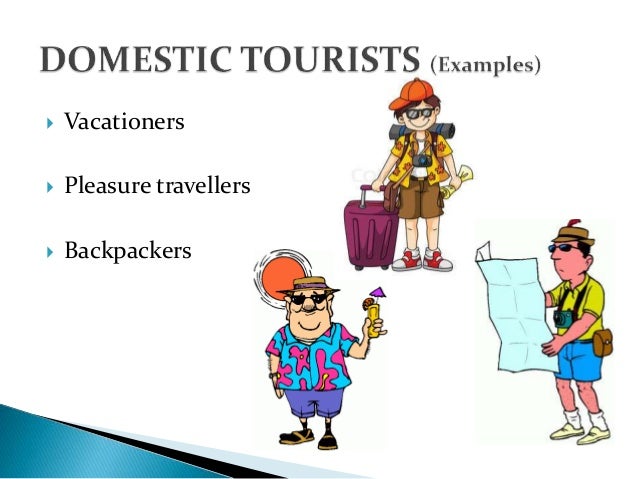 what is domestic tourism in definition