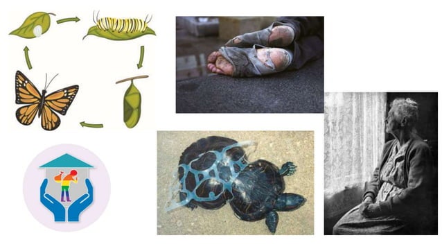 ETHOS PATHOS LOGOS- Claim Argument | PPT