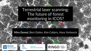 Terrestrial laser scanning:
The future of forest
monitoring in ICOS?
Miro Demol, Bert Gielen, Kim Calders, Hans Verbeeck
 