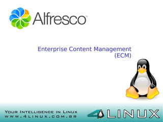Enterprise Content Management
                            (ECM)
      Gerenciamento de conte




                          
 