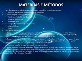 MATERIAIS E MÉTODOS
•
•
•
•
•
•
•
•
•
•
•

•

•
•

Para fazer a demonstração de uma chuva ácida são necessários os seguintes materiais.
* 1 vidro com tampa (como os de maionese ou café solúvel)
* Enxofre em pó (1 colher de chá cheia)
* 4 fitas de papel colorido azul (3 cm cada uma)
* 2 pétalas de flor colorida
* 1 colher de plástico
* 2 pedaços de fios de cobre (15 cm cada um)
* 1 caixa de fósforos
* 1 caneta
Para realizar o experimento:
1. Coloque uma fita de papel colorido e uma pétala de flor na parte de dentro da tampa do vidro. Utilizando a
colher de plástico, polvilhe um pouco do enxofre em pó sobre a fita e sobre a pétala (não utilize todo o enxofre,
apenas o suficiente para manchar parte do papel colorido e da pétala de flor).
2. Coloque cerca de 5 cm de água da torneira no vidro, e com o auxílio da colher (limpa), retire um pouco de água
e coloque sobre o enxofre que está sobre a pétala e o papel colorido. Observe o que acontece com a água em
contato com o enxofre, e se houve alteração na cor do papel e na pétala.
3. Pegue uma nova fita de papel colorido e o umedeça com água.
4. Monte o seguinte esquema: Coloque em uma das extremidades do fio de cobre uma nova pétala e um pouco
separado coloque um novo papel colorido azul. Na outra extremidade do fio, faça um pequeno gancho e pendure
por dentro do vidro que já tem um pouco de água. Tome cuidado para que a pétala ou fita não entrem em contato
com a água. Veja a ilustração (figura 02).

 