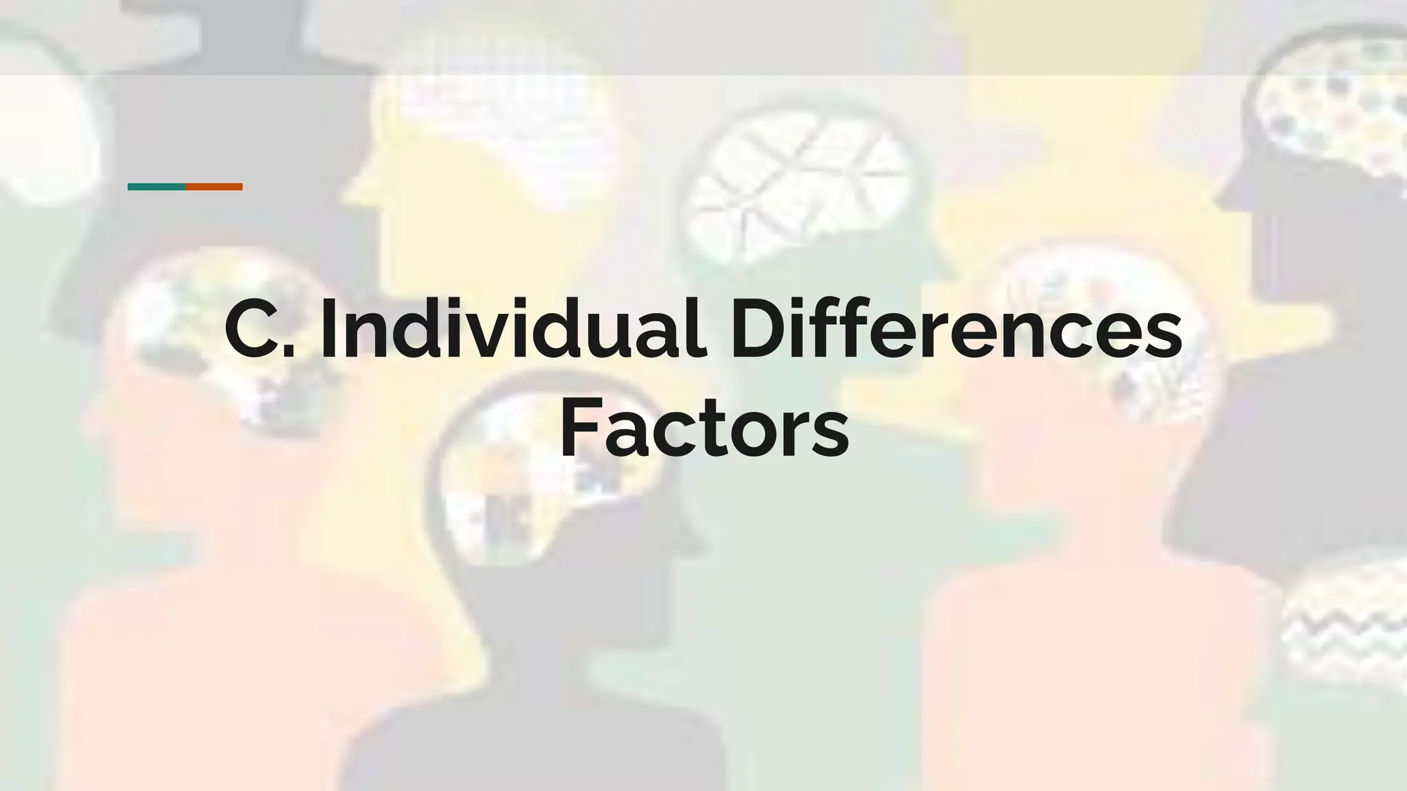 C. Individual Differences
Factors
 