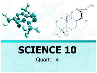 SCIENCE 10
Quarter 4
 