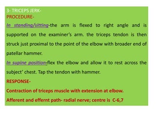 3- TRICEPS JERK-
PROCEDURE-
In standing/sitting-the arm is flexed to right angle and is
supported on the examiner’s arm. the triceps tendon is then
struck just proximal to the point of the elbow with broader end of
patellar hammer.
In supine position-flex the elbow and allow it to rest across the
subject’ chest. Tap the tendon with hammer.
RESPONSE-
Contraction of triceps muscle with extension at elbow.
Afferent and effernt path- radial nerve; centre is C-6,7
 