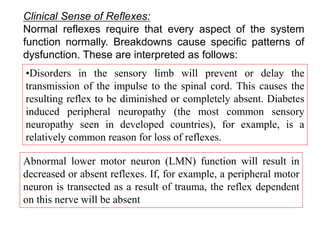 Clinical Sense of Reflexes:
Normal reflexes require that every aspect of the system
function normally. Breakdowns cause specific patterns of
dysfunction. These are interpreted as follows:
•Disorders in the sensory limb will prevent or delay the
transmission of the impulse to the spinal cord. This causes the
resulting reflex to be diminished or completely absent. Diabetes
induced peripheral neuropathy (the most common sensory
neuropathy seen in developed countries), for example, is a
relatively common reason for loss of reflexes.
Abnormal lower motor neuron (LMN) function will result in
decreased or absent reflexes. If, for example, a peripheral motor
neuron is transected as a result of trauma, the reflex dependent
on this nerve will be absent
 